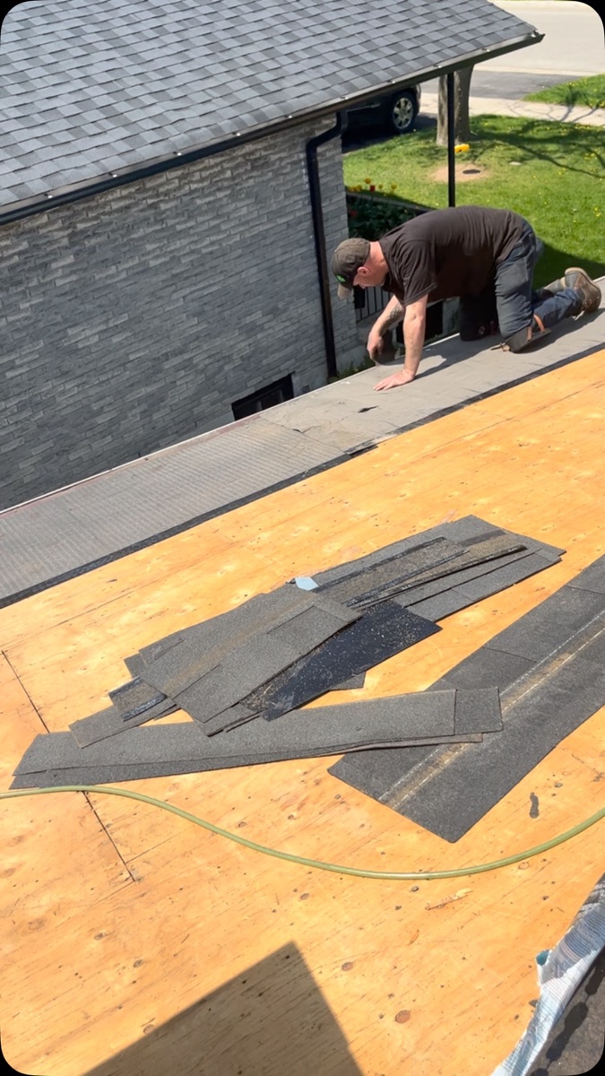 Old shingles torn off exposing fresh plywood decking, crew member working the roof edge